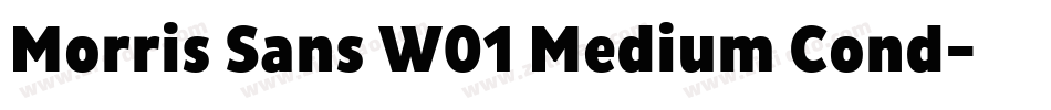 Morris Sans W01 Medium Cond字体转换